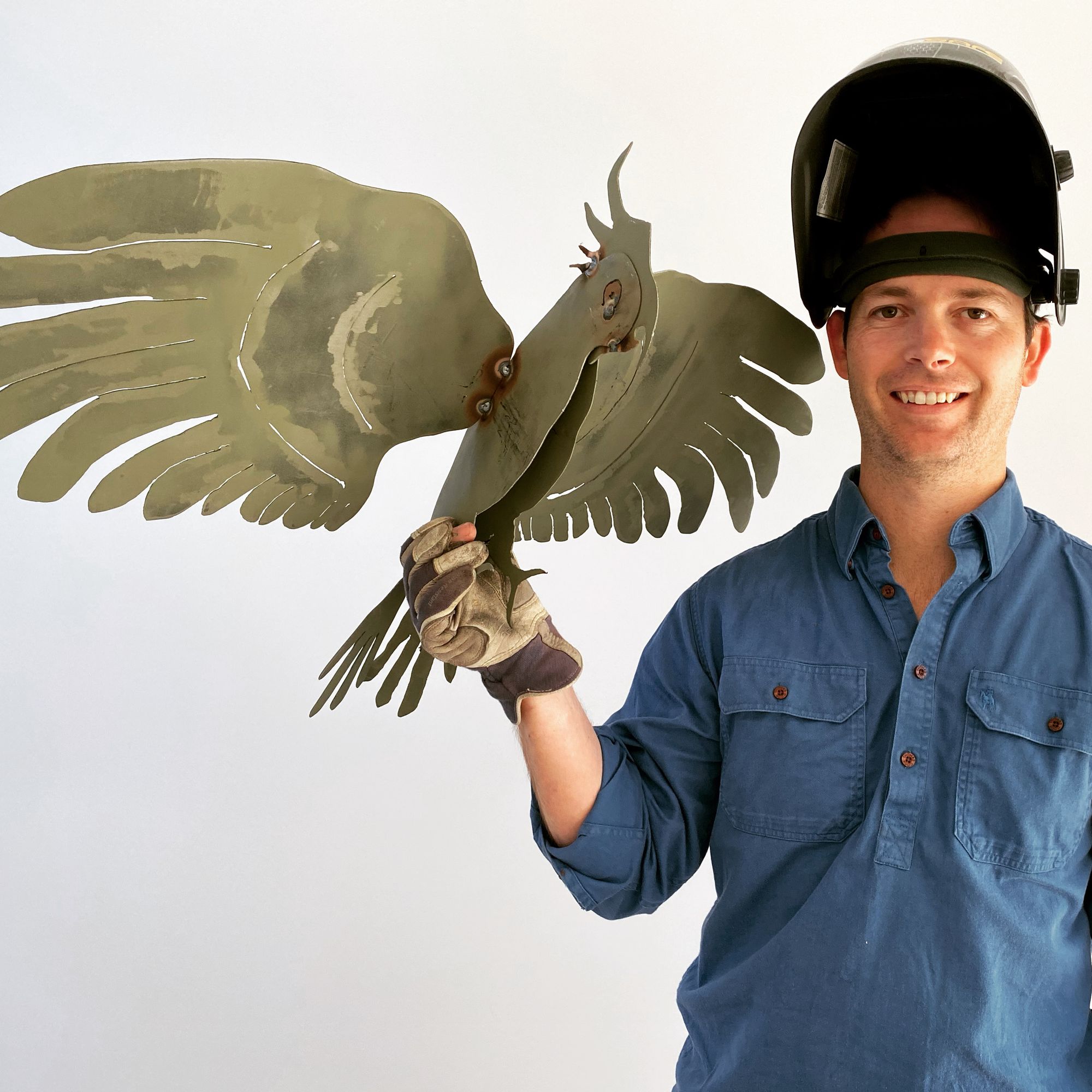Red Tailed Black Cockatoo