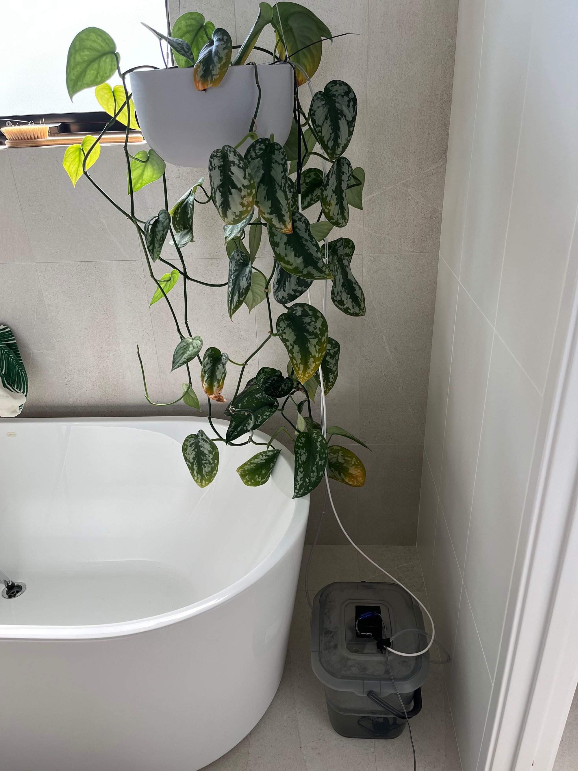 Plant Watering Smart Buckets